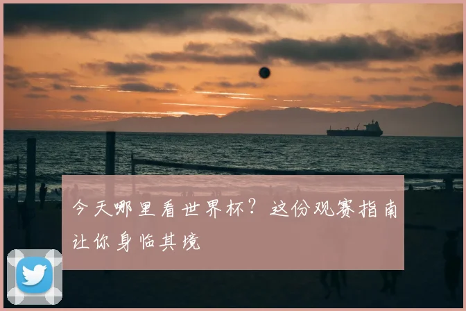今天哪里看世界杯?这份观赛指南让你身临其境