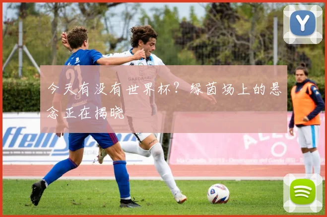 今天有没有世界杯？绿茵场上的悬念正在揭晓